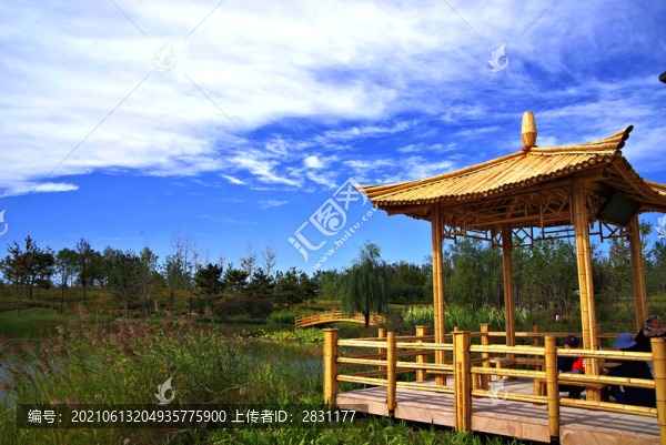 城市綠心森林公園