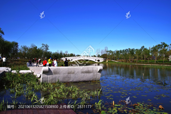 城市綠心森林公園