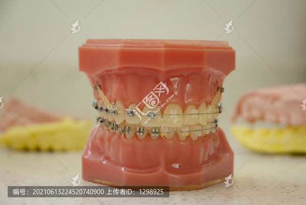 口腔科模型