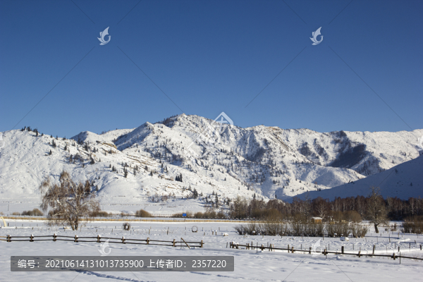 雪景