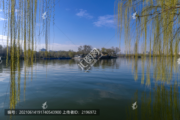 春天的大明湖