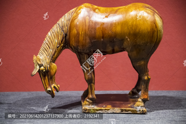 陜西歷史博物館唐代三彩低頭馬