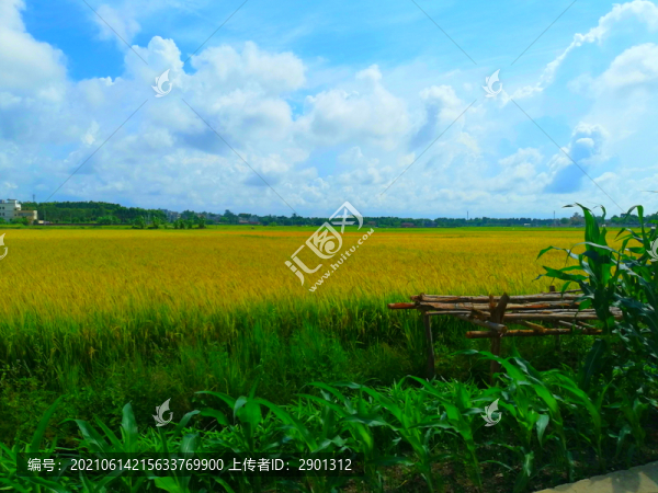 藍天白云田野