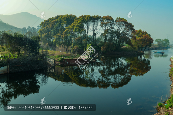晨釣
