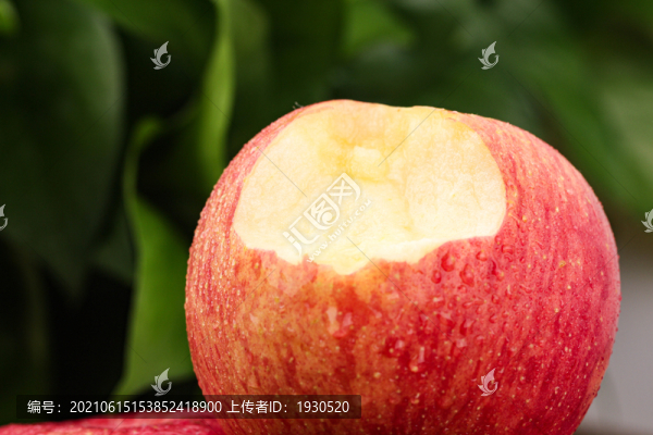 紅富士蘋果
