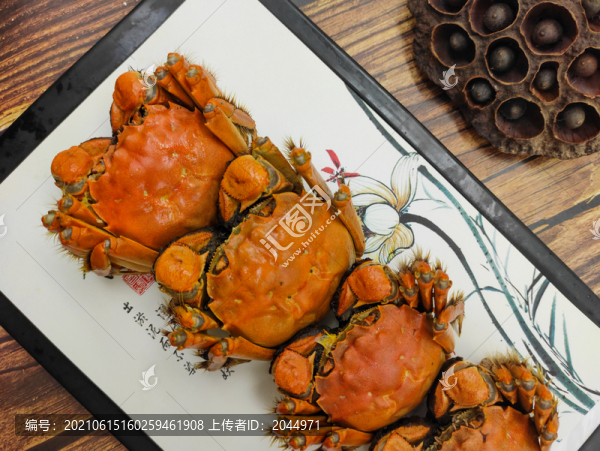 陽(yáng)澄湖大閘蟹