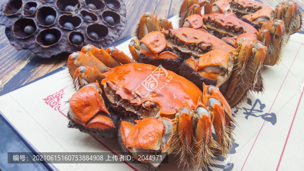 陽澄湖大閘蟹