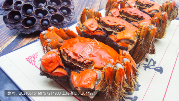 陽澄湖大閘蟹
