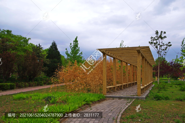 通州區(qū)永樂(lè)生態(tài)公園