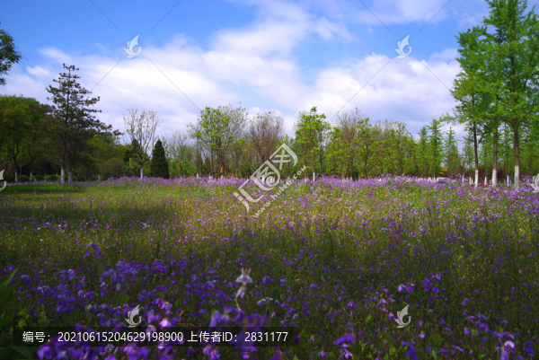 通州區(qū)永樂生態(tài)公園