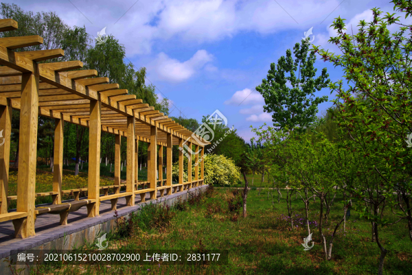 通州區(qū)永樂生態(tài)公園