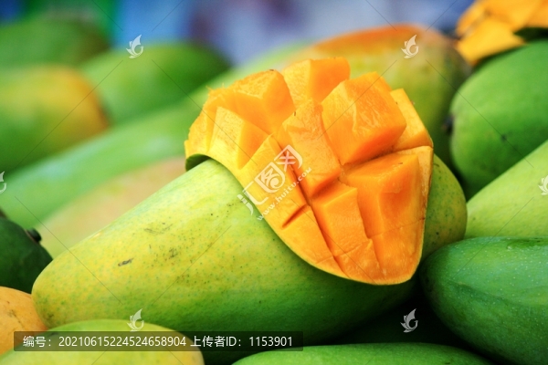 大青芒