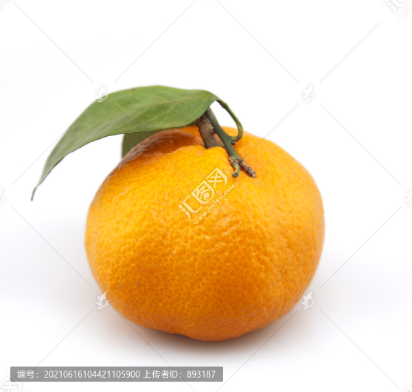 橘子