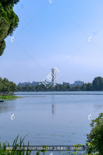 玄武湖風光