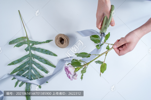 粉玫瑰花花材修剪