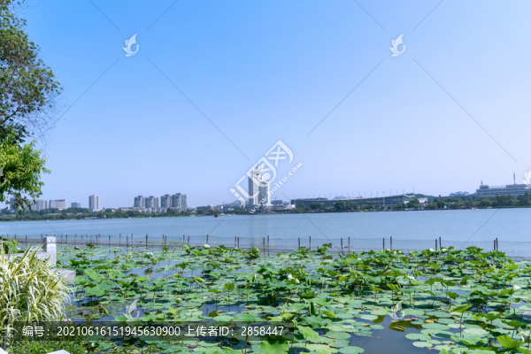 玄武湖風(fēng)光