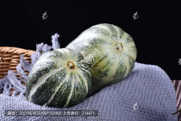 博洋9號(hào)