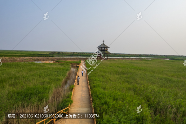 航拍黃河三角洲生態(tài)旅游區(qū)