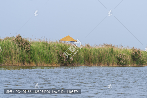 黃河入海口風(fēng)光