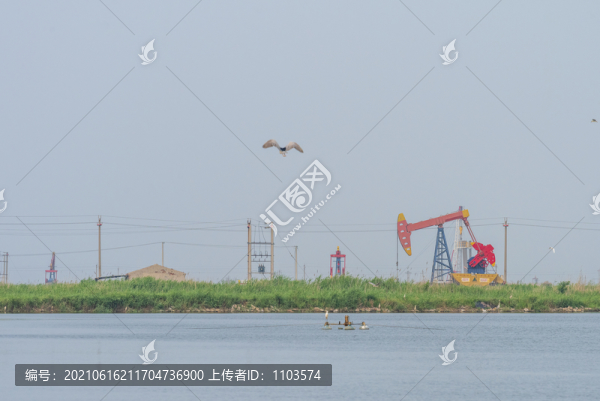 黃河入?？陲L(fēng)光