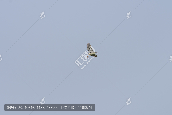 黃河入?？陲L光