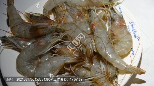 基圍蝦