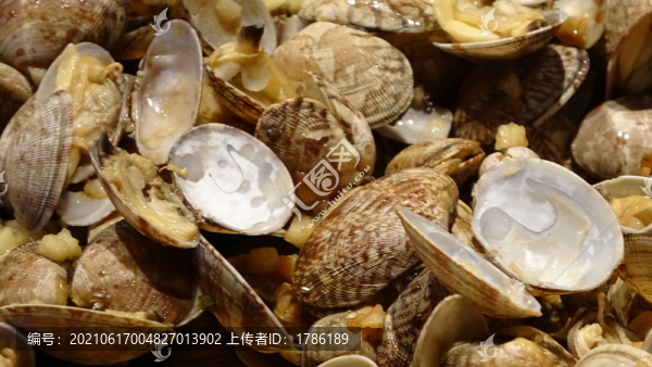 扇貝貝殼海鮮