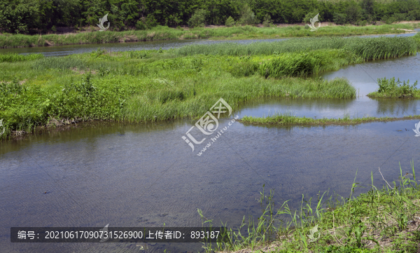 青草河流