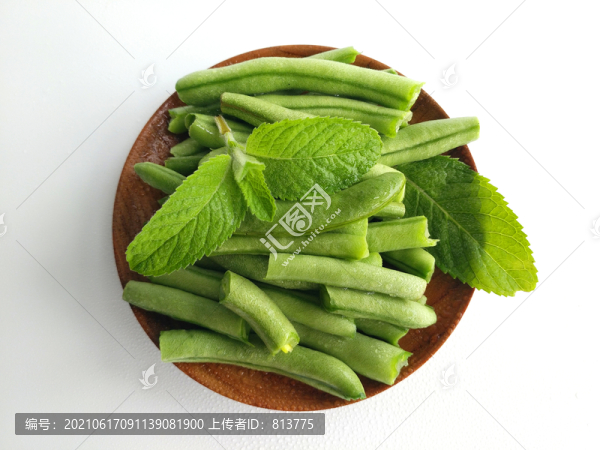 拍攝綠葉扁豆
