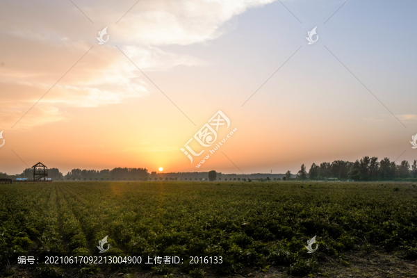 夕陽