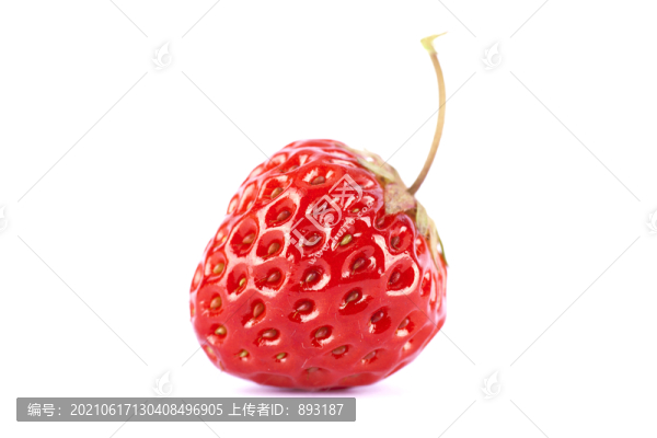 紅草莓
