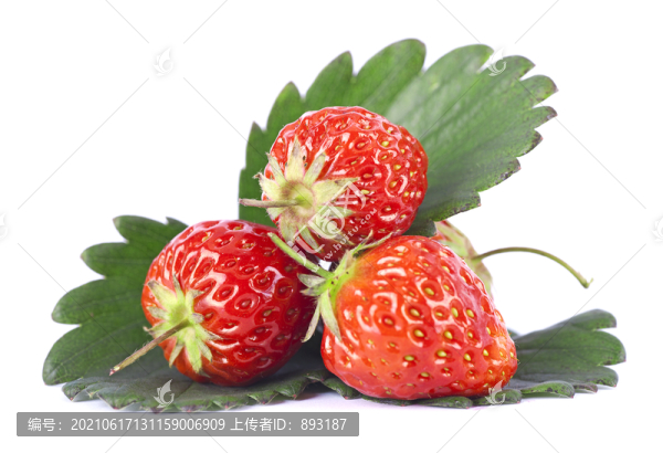 紅色的草莓和綠色的葉子