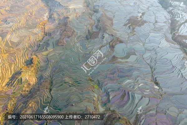 云南元陽(yáng)老鷹嘴梯田