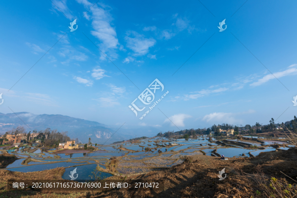 云南元陽(yáng)多愛藍(lán)春梯田