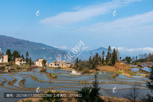 云南元陽(yáng)多愛藍(lán)春梯田