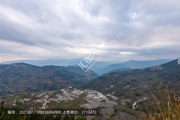 云南元陽老虎嘴梯田