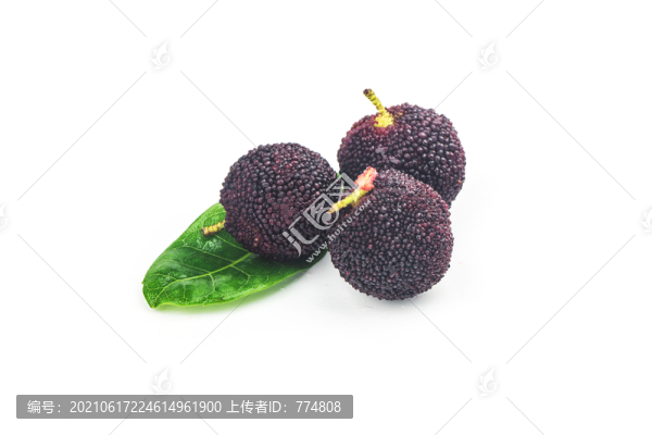 楊梅