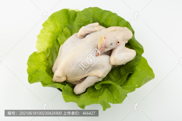 新鮮雞肉