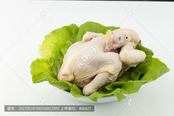 新鮮雞肉