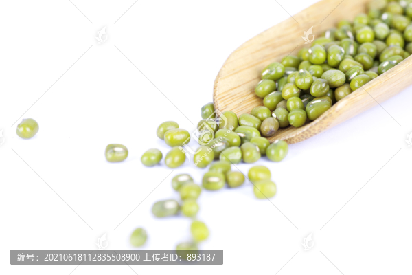 勺子里散落的綠豆