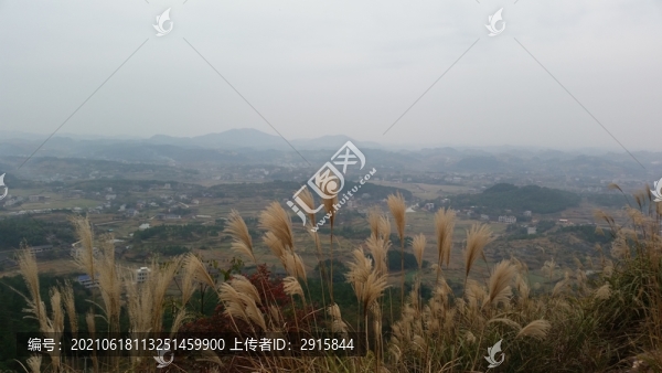 佘湖山