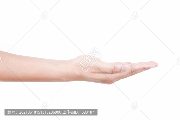 手