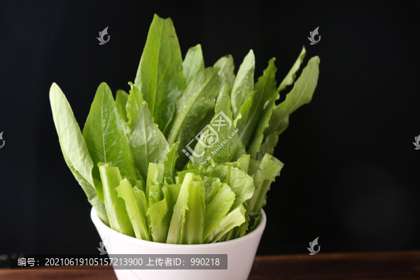 油麥菜