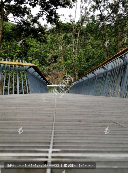 景觀道