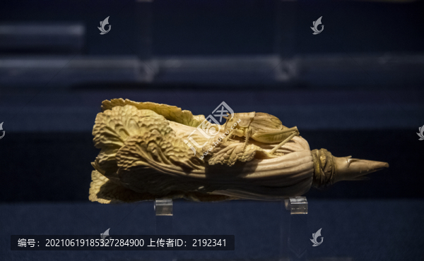 中國(guó)陜西歷史博物館清代象牙白菜
