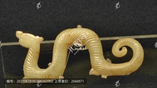戰(zhàn)國龍