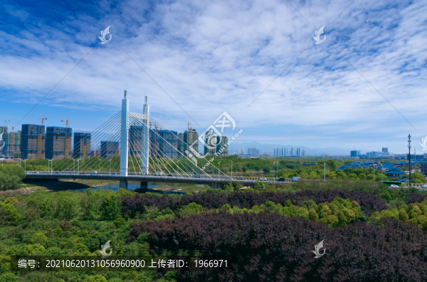 義烏商博大橋城市風光