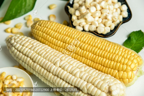 玉米
