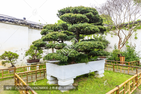 蘇州留園