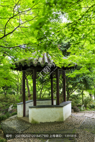 蘇州留園舒嘯亭